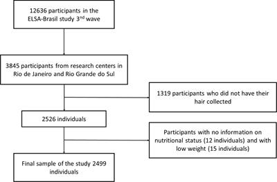 Hair cortisol levels are associated with overweight and obesity in the ELSA-Brasil cohort